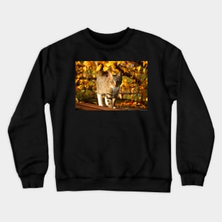 Cat in the Dry Leaves Crewneck Sweatshirt